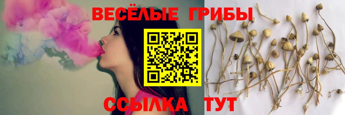 Вышний Волочёк  Галлюциногенные грибы мухоморы  Вход с VPN 
